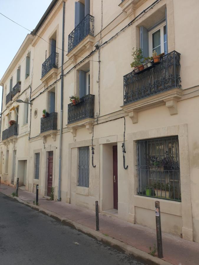 Appartement entier COSY, agréable et lumineux. Montpellier Esterno foto